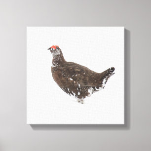 Rode grog canvas afdruk