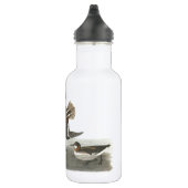 Rode halarope met hals van Audubon Waterfles (Rechts)