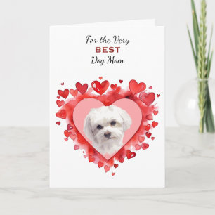 Rode Hart Maltese Hond Kwispel Met Mijn Staart Moe Feestdagen Kaart