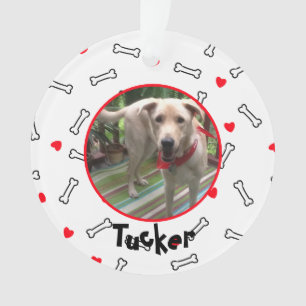 Rode harten witte Botten hond foto Ornament