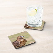 Rode hawk in de Hudson-vallei Bier Onderzetter (Rechterzijde)