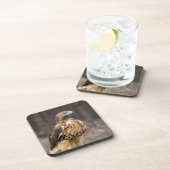 Rode hawk in de Hudson-vallei Bier Onderzetter (Rechterzijde)