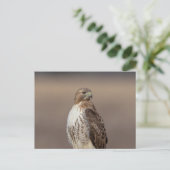 Rode hawk in de Hudson-vallei Briefkaart (Staand voorkant)