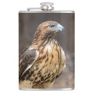 Rode hawk in de Hudson-vallei Heupfles