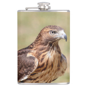 Rode hawk in de Hudson-vallei Heupfles