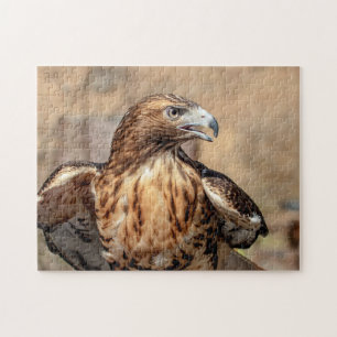 Rode hawk in de Hudson-vallei Legpuzzel