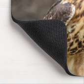 Rode hawk in de Hudson-vallei Muismat (Hoek)