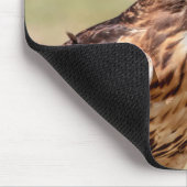 Rode hawk in de Hudson-vallei Muismat (Hoek)