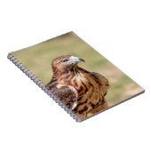 Rode hawk in de Hudson-vallei Notitieboek (Rechterzijde)