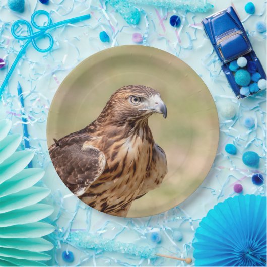 Rode hawk in de Hudson-vallei Papieren Bordje (Feest)