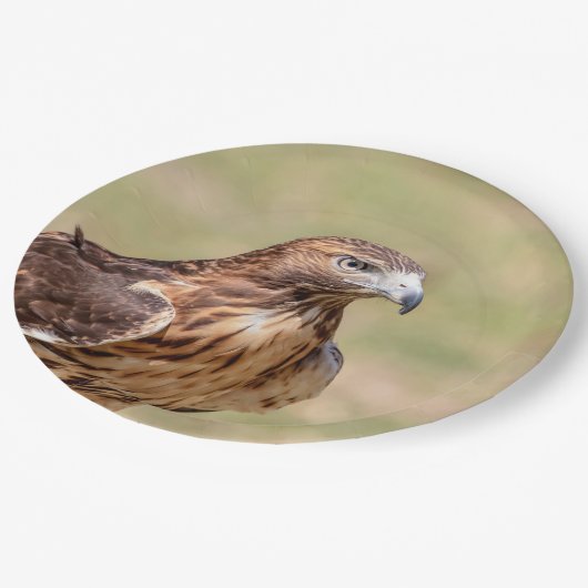 Rode hawk in de Hudson-vallei Papieren Bordje (Gekanteld)