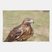 Rode hawk in de Hudson-vallei Theedoek (Horizontaal)