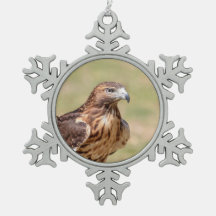 Rode hawk in de Hudson-vallei
