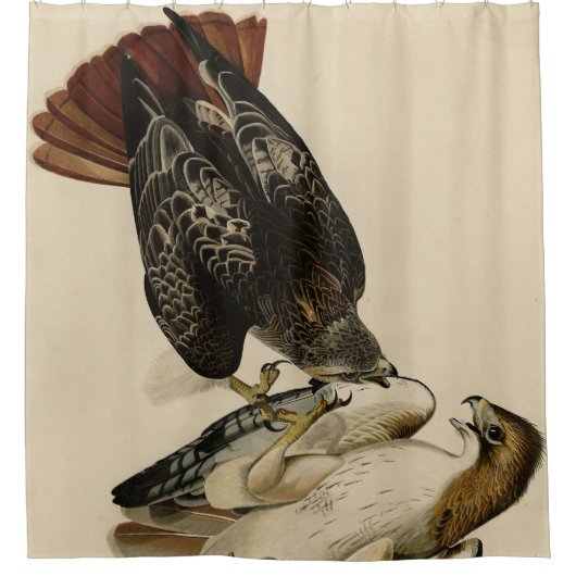 Rode Hawk uit de Amerikaanse vogels van Audubon Douchegordijn (Voorkant)