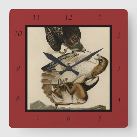 Rode Hawk uit de Amerikaanse vogels van Audubon Vierkante Klok (Voorkant)