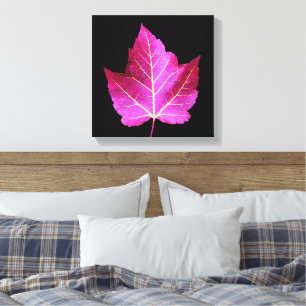 Rode herfst esdoornblad op zwarte bloemen canvas afdruk