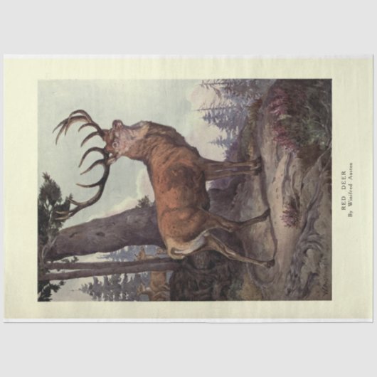 Rode Herten Stag Ephemera Decoupage Tissuepapier (Voorkant)