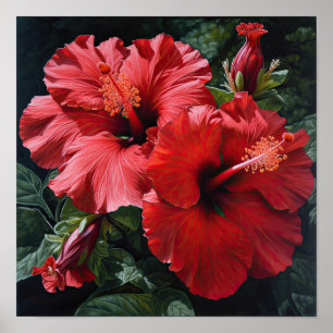 Rode Hibiscus Bloem Kunstprint Poster