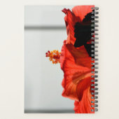 Rode Hibiscus Bloem Mooie Plannen Planner (Achterkant)