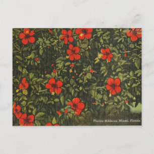 Rode Hibiscus Bloem Vintage Miami Feestdagenkaart