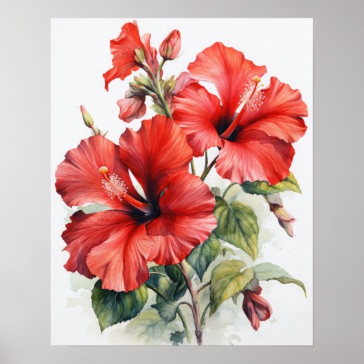 Rode Hibiscus Bloemen Art Print Poster (Voorkant)