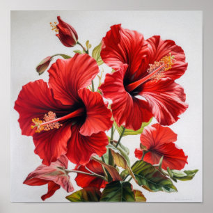 Rode Hibiscus Bloemenkunst Print Poster