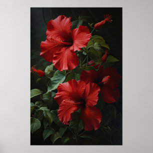 Rode Hibiscus Bloemenkunst Print Poster