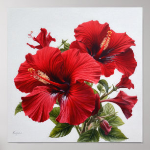 Rode Hibiscus Bloemenkunst Print Poster