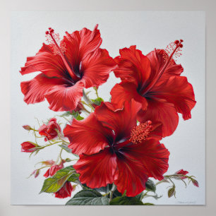 Rode Hibiscus Bloemenkunst Print Poster