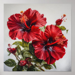 Rode Hibiscus Bloemenkunst Print Poster