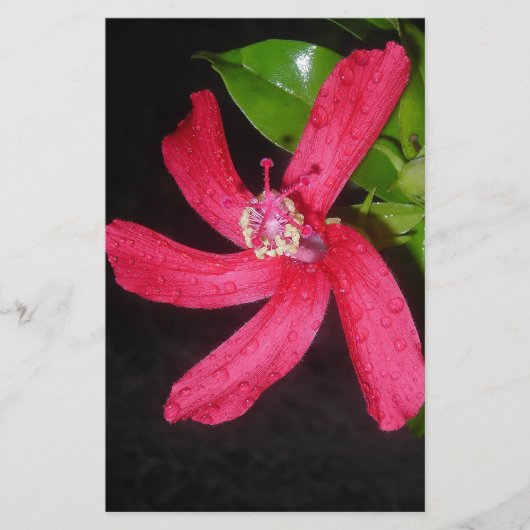 rode hibiscus briefpapier (Voorkant)