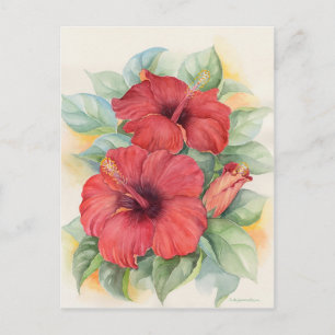 Rode Hibiscus Floral tropische Waterverf kunst Briefkaart