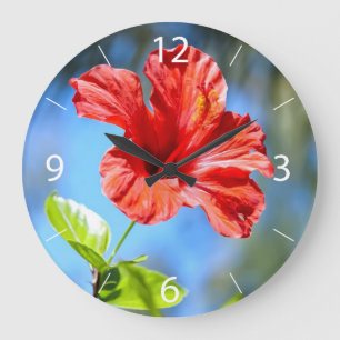 Rode Hibiscus Grote Klok