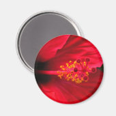 Rode hibiscus magneet (Voorkant / Achterkant)