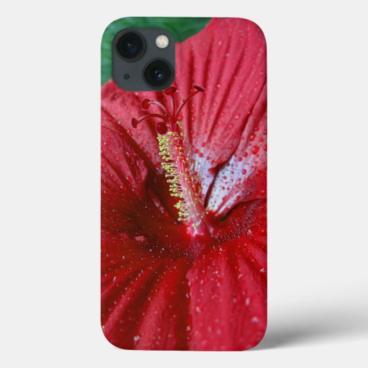Rode Hibiscus Met Regendruppels Case-Mate iPhone Case (Achterkant)