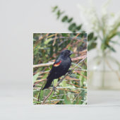 Rode hond briefkaart (Staand voorkant)