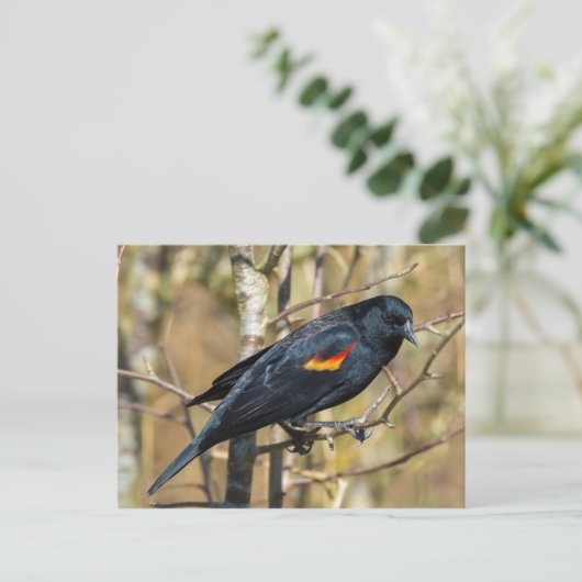 Rode hond briefkaart (Staand voorkant)