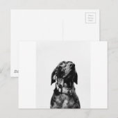 rode hond briefkaart (Voorkant / Achterkant)
