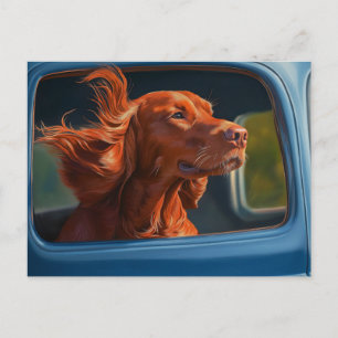 Rode Hond Genietend van Schilderachtige Autorit Ku Briefkaart