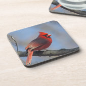  rode hoofdfoto onderzetter (Linkerzijde)