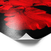 Rode Hot Bearded Iris Flower Art 8x8 Foto Afdruk (Hoek)