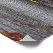 Rode Ivy op Tree Poster (Hoek)