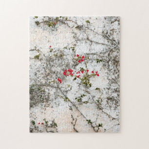 Rode Ivy op witte muur Legpuzzel