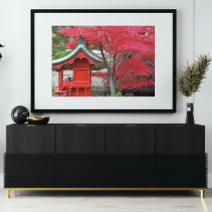 Rode Japanse makreelbladeren en tuinschrijn Foto Afdruk