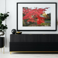 Rode Japanse mantel- en tuinbouwfoto