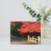 Rode Japanse maple Briefkaart (Staand voorkant)