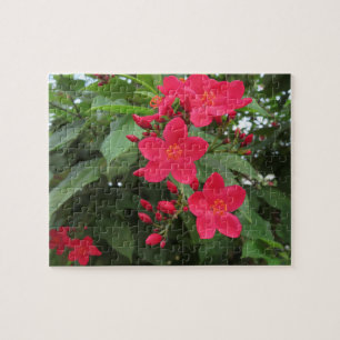 Rode Jatropha Bloemen Legpuzzel