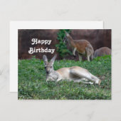 Rode Kangoeroe 6950 Verjaardagspostkaart Briefkaart (Voorkant / Achterkant)