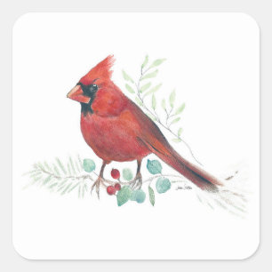 Rode kardinaal Bird Berries Square Sticker