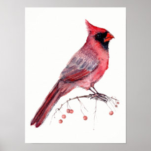 Rode kardinaal Bird Poster